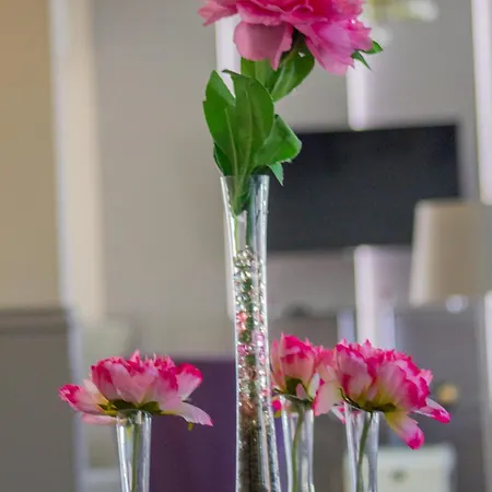 Hotel Casa Muresan 3*